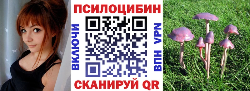 Псилоцибиновые грибы Psilocybine cubensis  Шимановск 