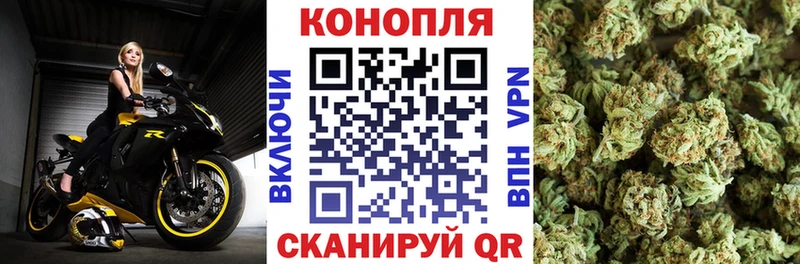 Шишки марихуана MAZAR  Шимановск 